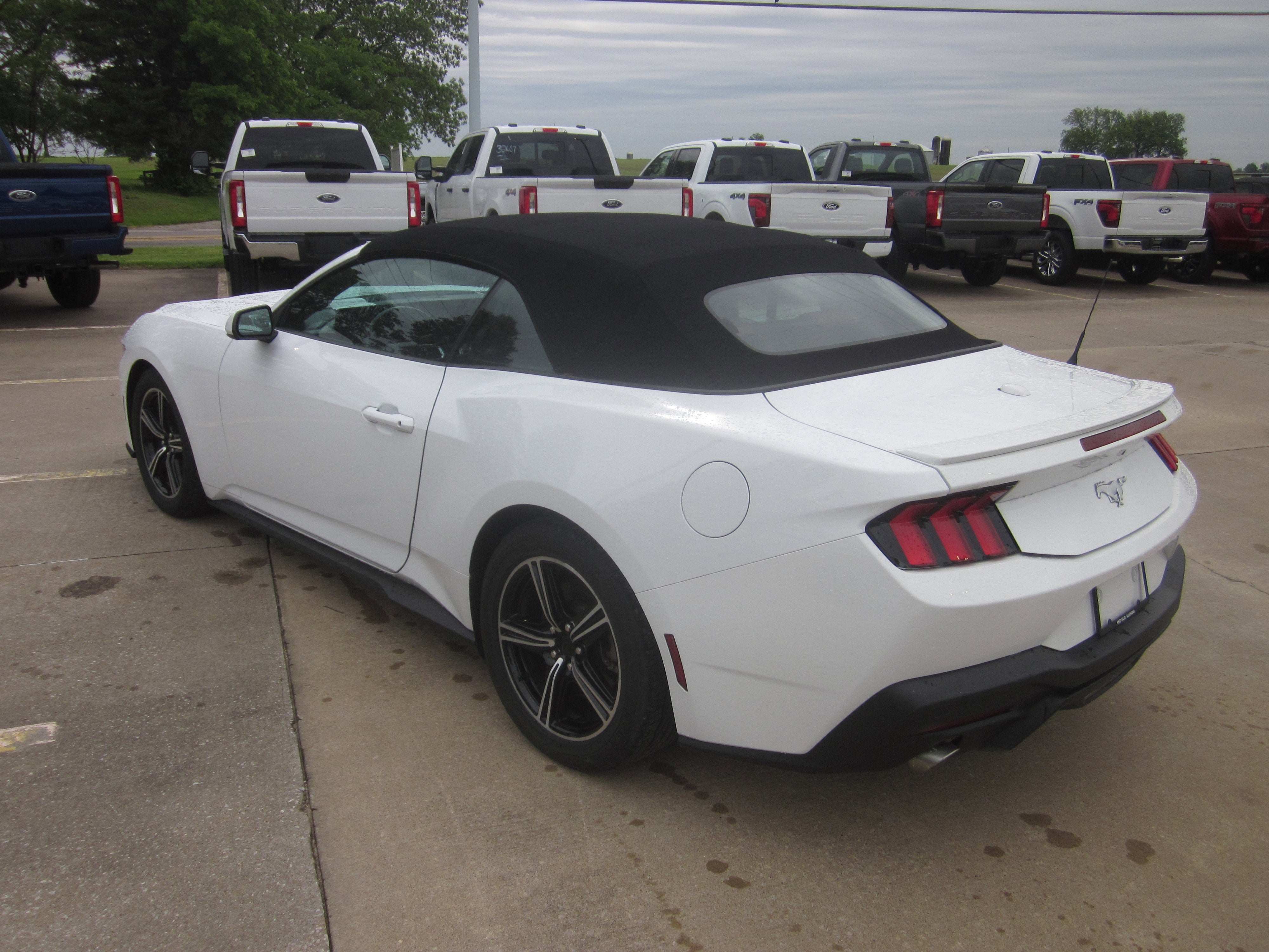 2024 Ford Mustang EcoBoost Premium