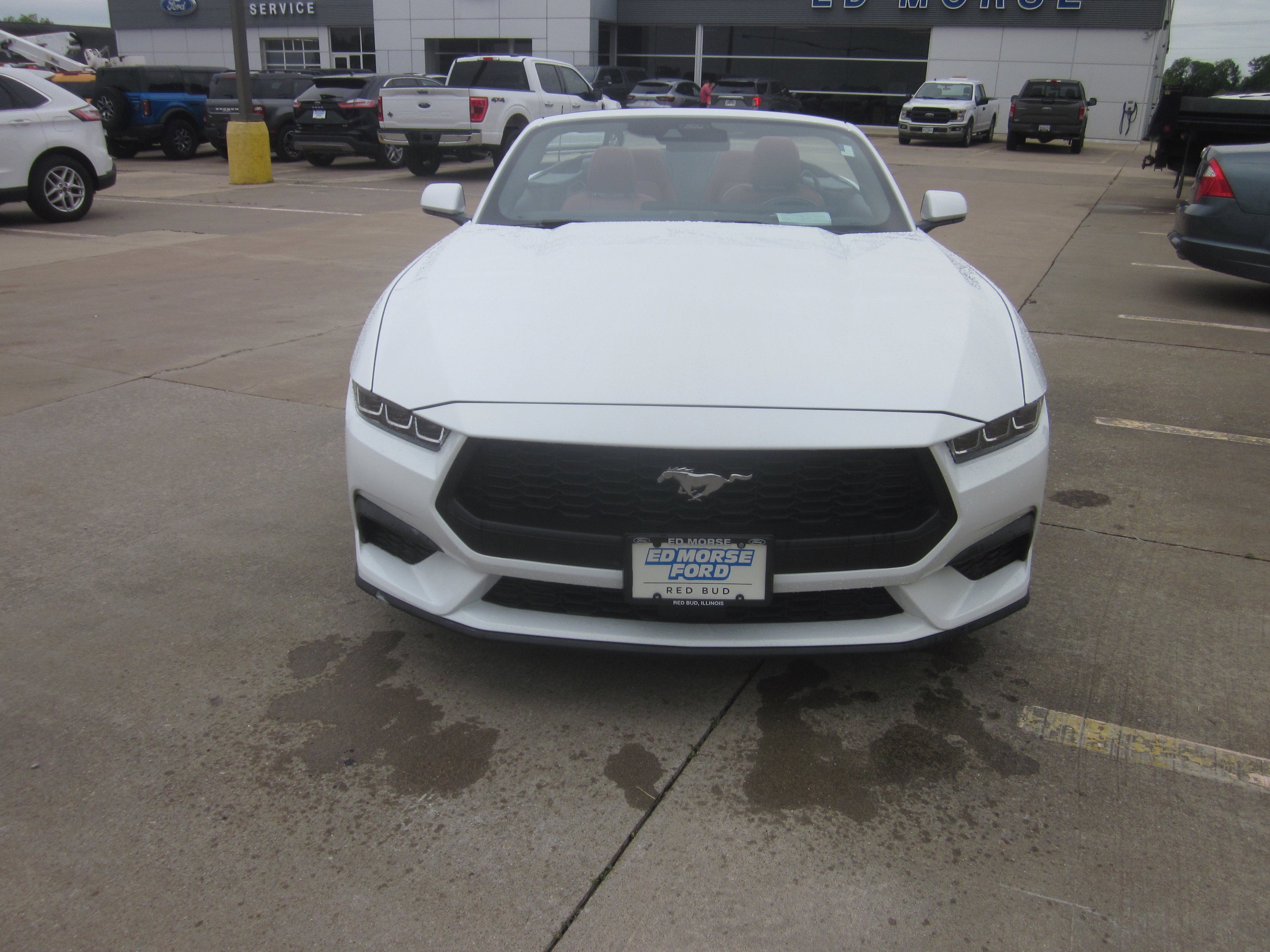 2024 Ford Mustang EcoBoost Premium