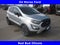 2020 Ford EcoSport SES
